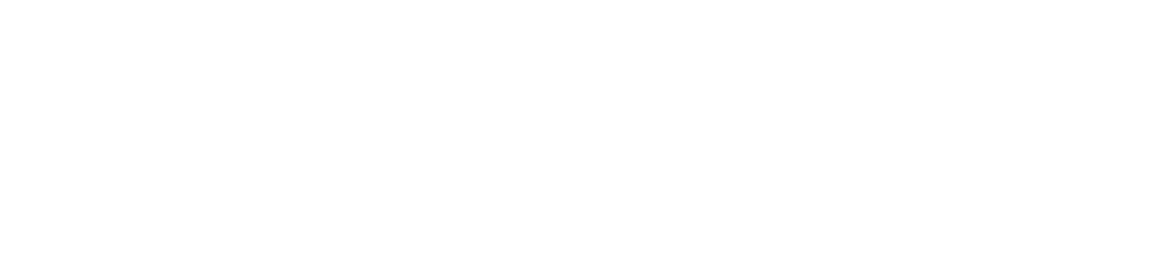 The Vision Co
